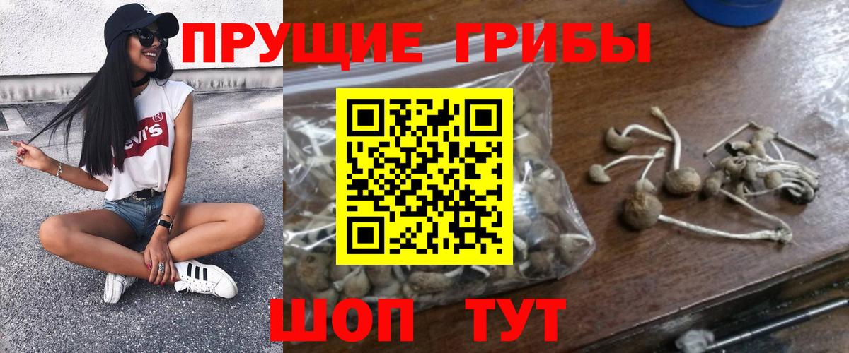 Галлюциногенные грибы Magic Shrooms Партизанск
