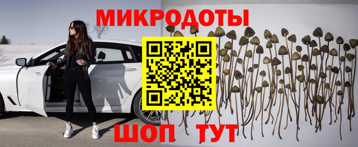 Партизанск  Псилоцибиновые грибы Psilocybine cubensis  Вход с VPN 